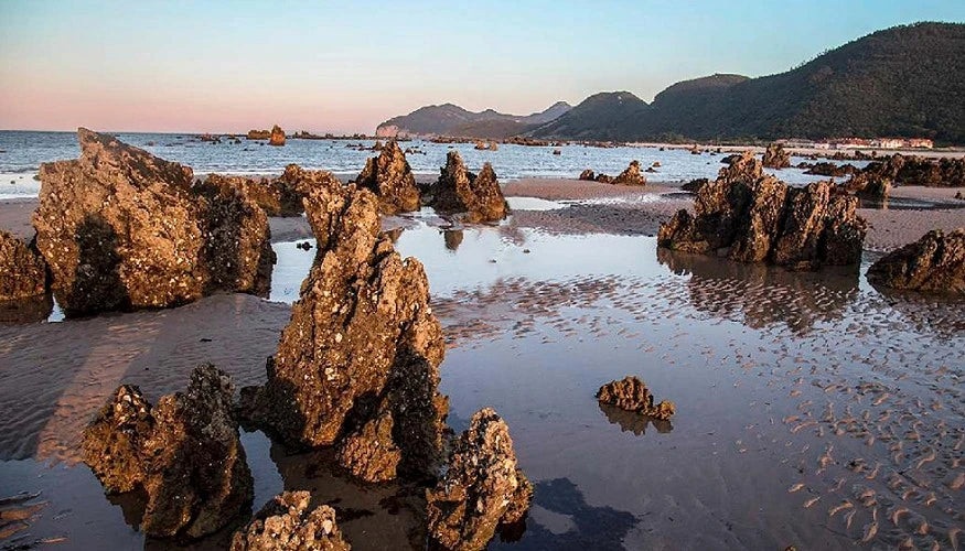 La madera certificada PEFC es la protagonista de las pasarelas de acceso a las playas de Noja