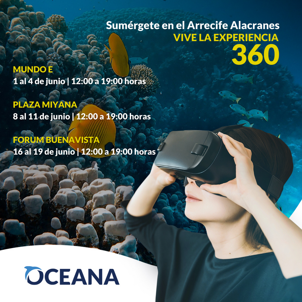 Oceana conmemora Día Mundial de los Océanos con realidad virtual